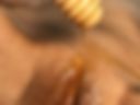 all about my pussy 400 tokens