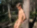 In the forest