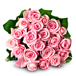 Bouquet of pink roses