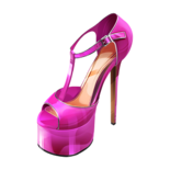 High-heeled Shoe