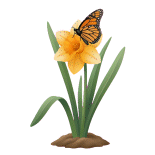 Narciso com uma borboleta