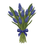 Букет Мускарі