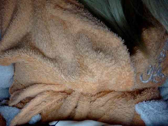 BlondyVio webcam