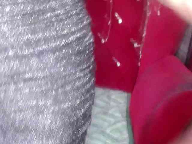 PornStarBelle Live Webcam on BongaCams