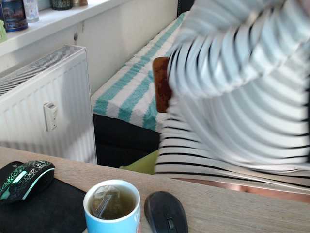 Bessy123's BongaCams show and profile