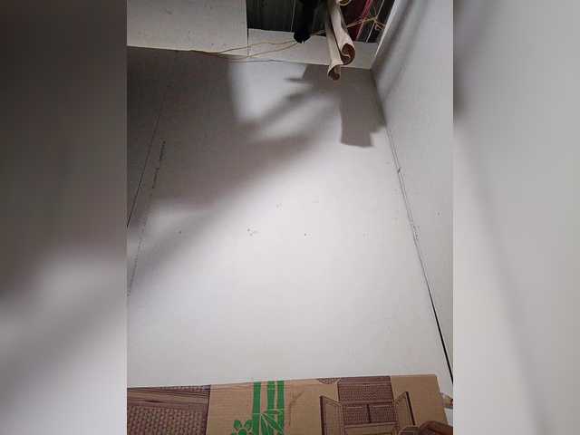 AsianBella's BongaCams show and profile