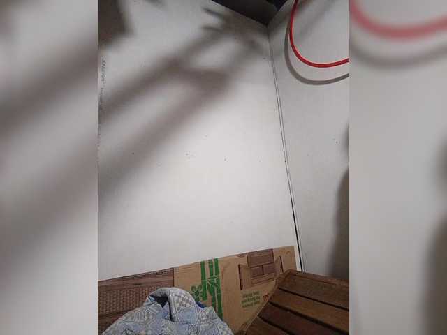 Preview of asianbella