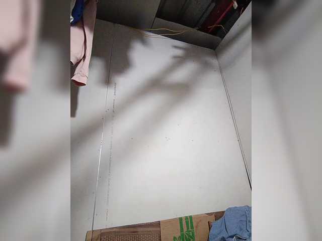 AsianBella's BongaCams show and profile