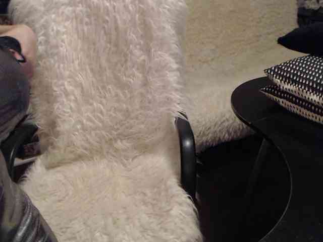 Bagirra webcam