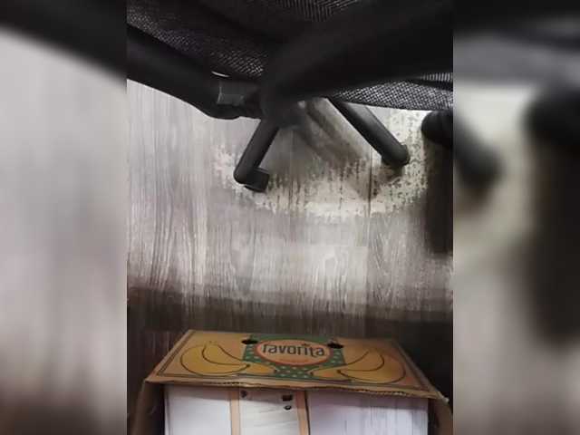 Offline ula2015 on BongaCams