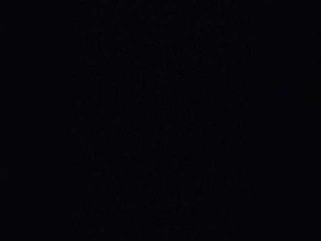 ula2015 live sex show