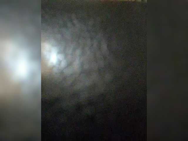 ula2015 live sex show