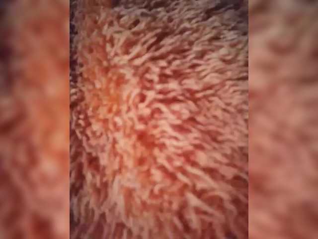 ula2015's BongaCams show and profile