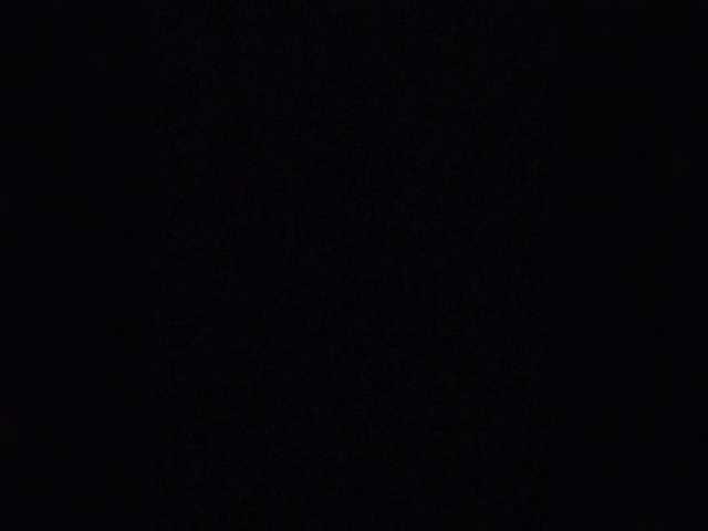 ula2015 live sex show