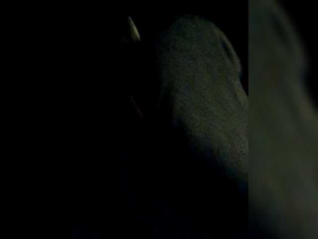 Preview of klientvsegdaprav