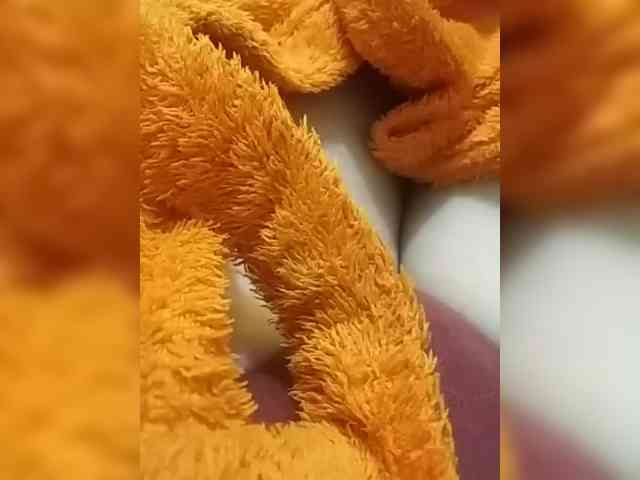 KlientVsegdaPrav webcam