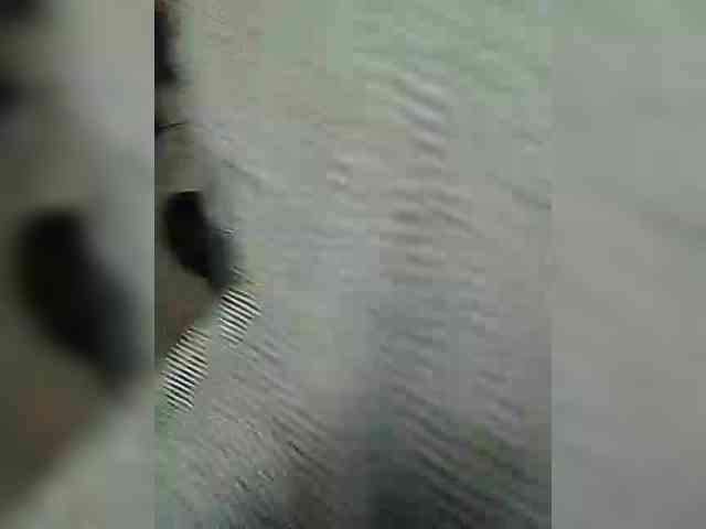 KlientVsegdaPrav webcam