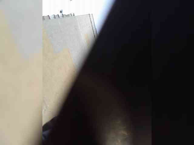 GolayaPravda webcam