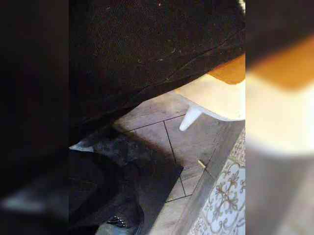 KlientVsegdaPrav webcam