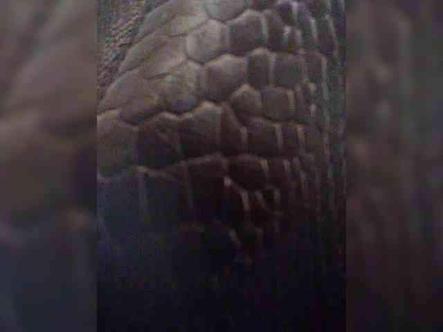 KlientVsegdaPrav webcam