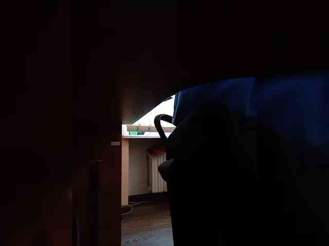 GolayaPravda webcam