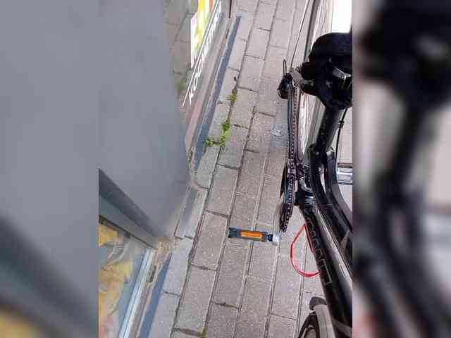 GolayaPravda webcam