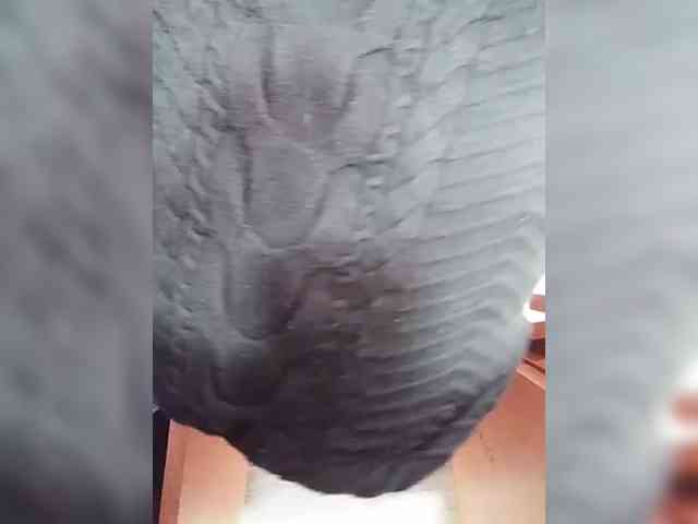 KlientVsegdaPrav webcam