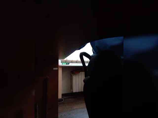 GolayaPravda webcam