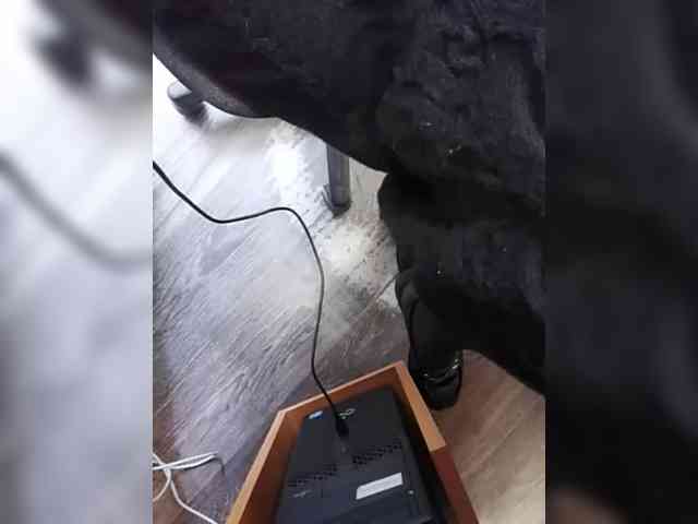 KlientVsegdaPrav webcam