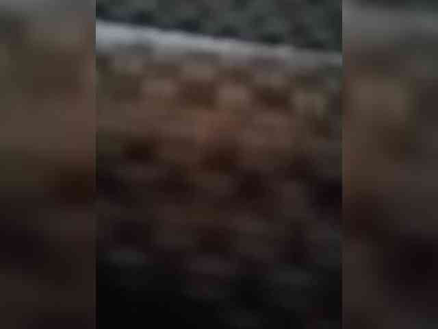 KlientVsegdaPrav webcam