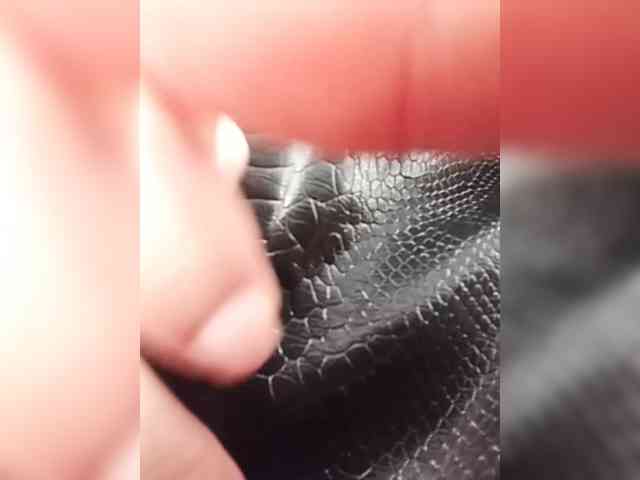 KlientVsegdaPrav webcam