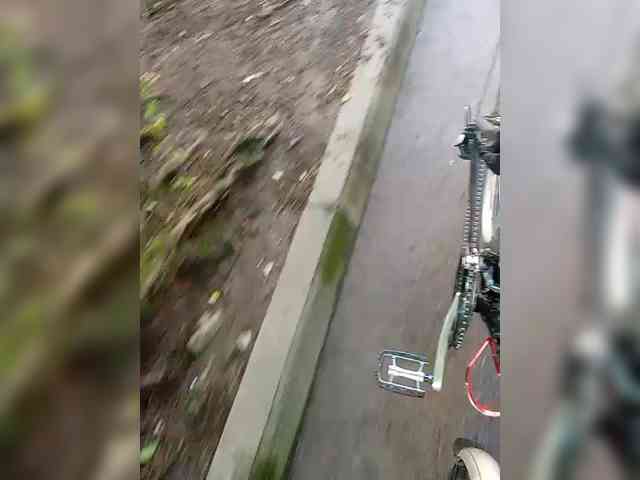 GolayaPravda webcam
