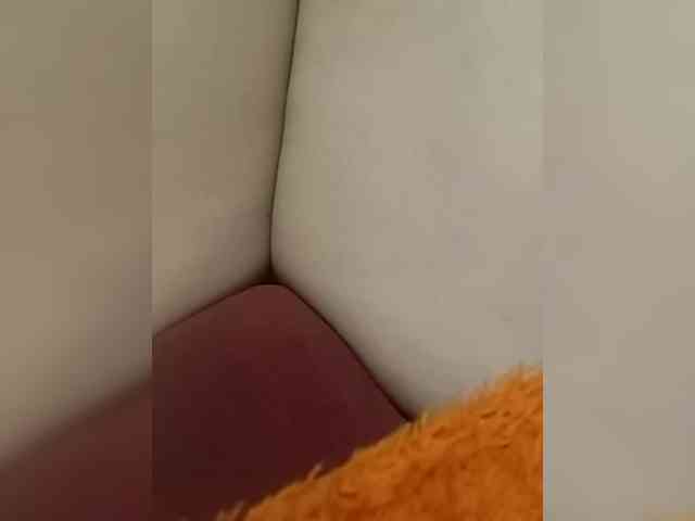 KlientVsegdaPrav webcam