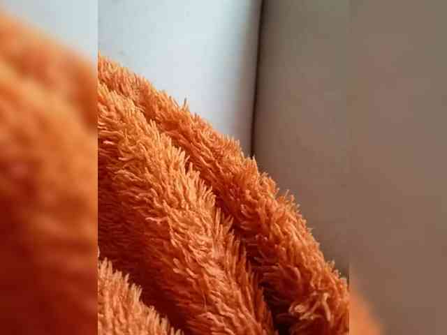 KlientVsegdaPrav webcam