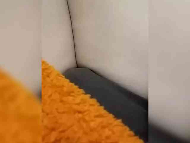 KlientVsegdaPrav webcam