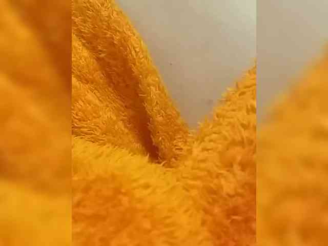 KlientVsegdaPrav webcam