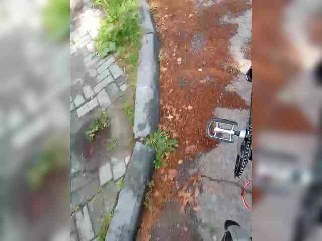 GolayaPravda webcam