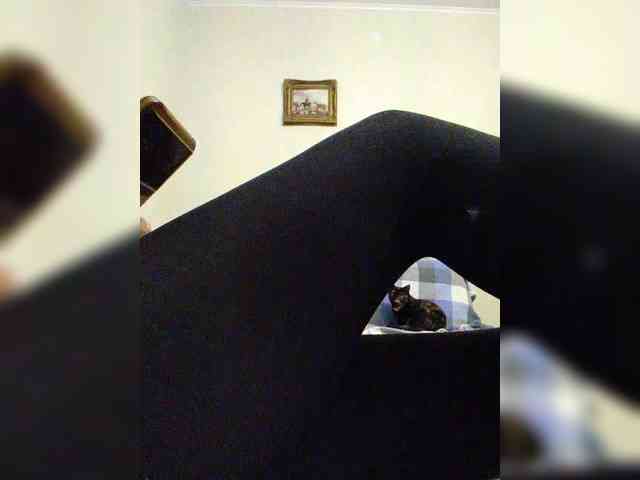 KlientVsegdaPrav webcam