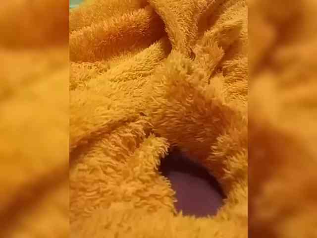 KlientVsegdaPrav webcam