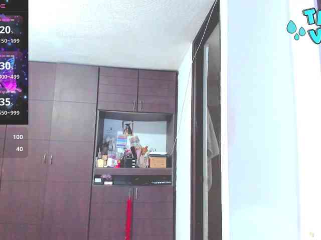 HUGETITS90XX webcam