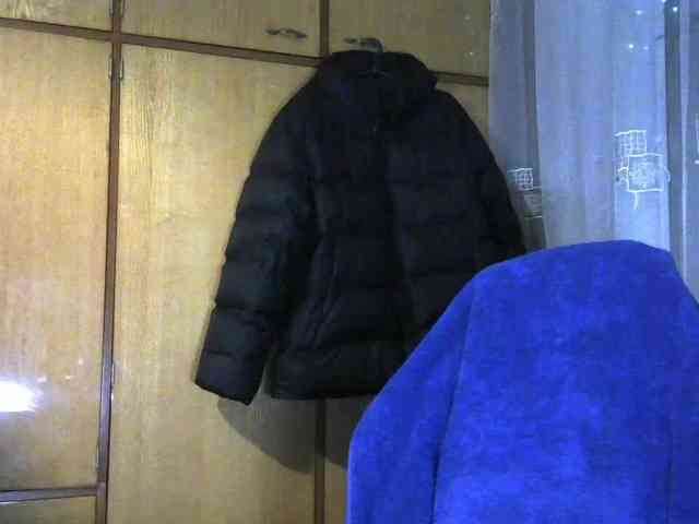 shevamodel shevamodel