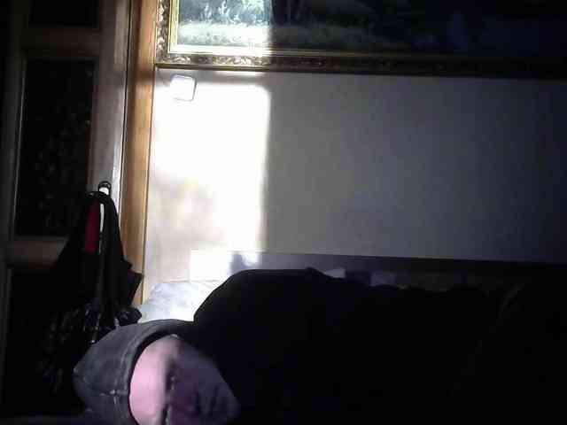 shevamodel shevamodel