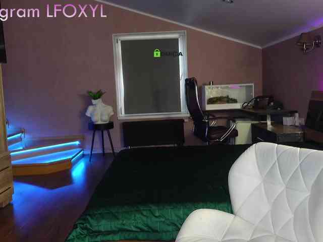 -Foxy- webcam