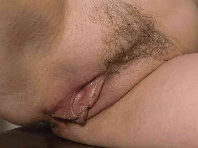 Xollan webcam