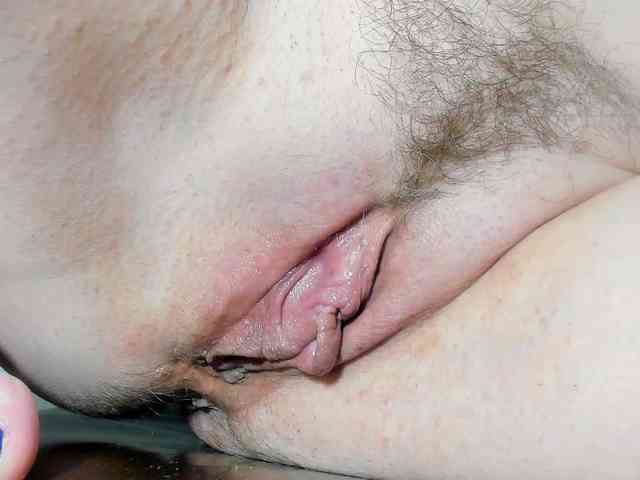 Xollan webcam