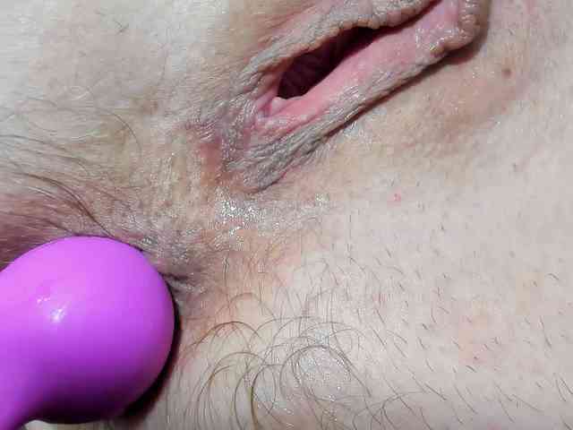 Xollan webcam