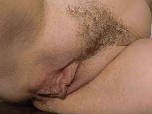 Xollan webcam