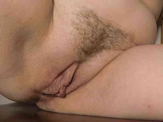 Xollan webcam