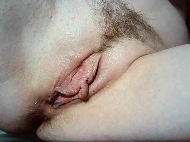 Xollan webcam