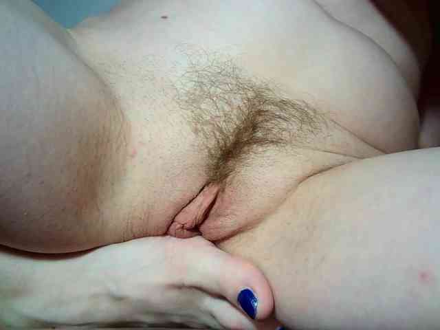 Xollan webcam